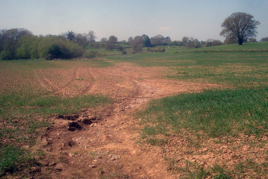 stanchezza del terreno