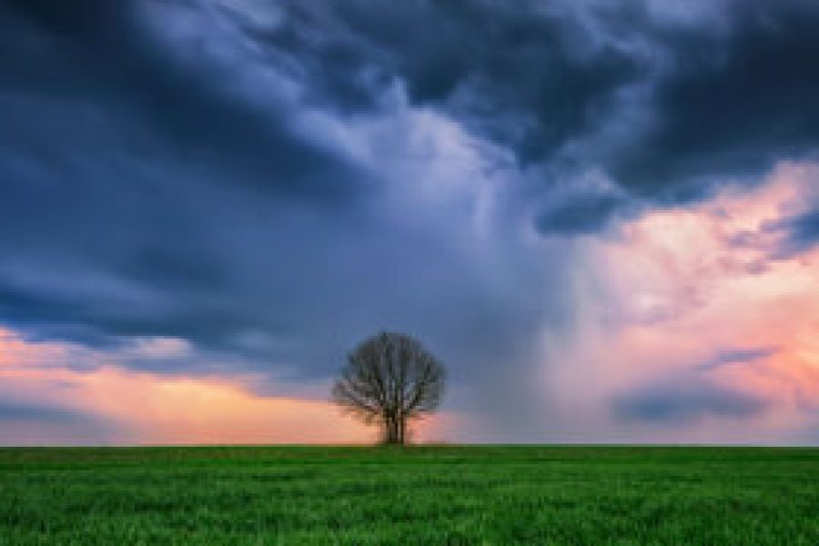 Si è scoperto che più la temperatura media della superfice terrestre è aumentata nel mondo, più le tempeste che si sono verificate hanno avuto intensità crescente.