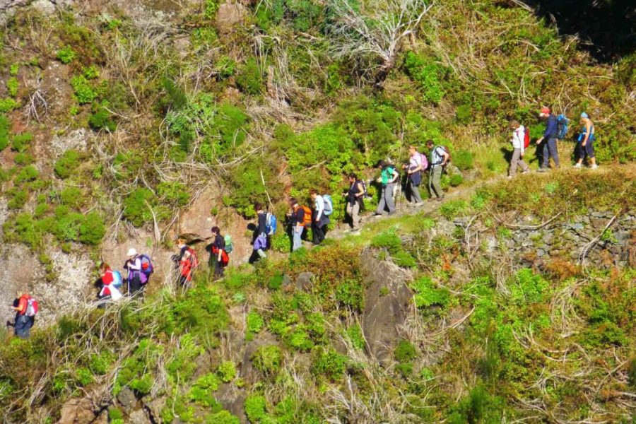 trekking a madeira