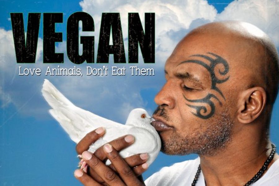tyson_vegan_small.jpg